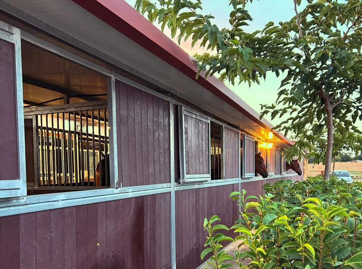 Box con vistas dobles en GR Quality Dressage
