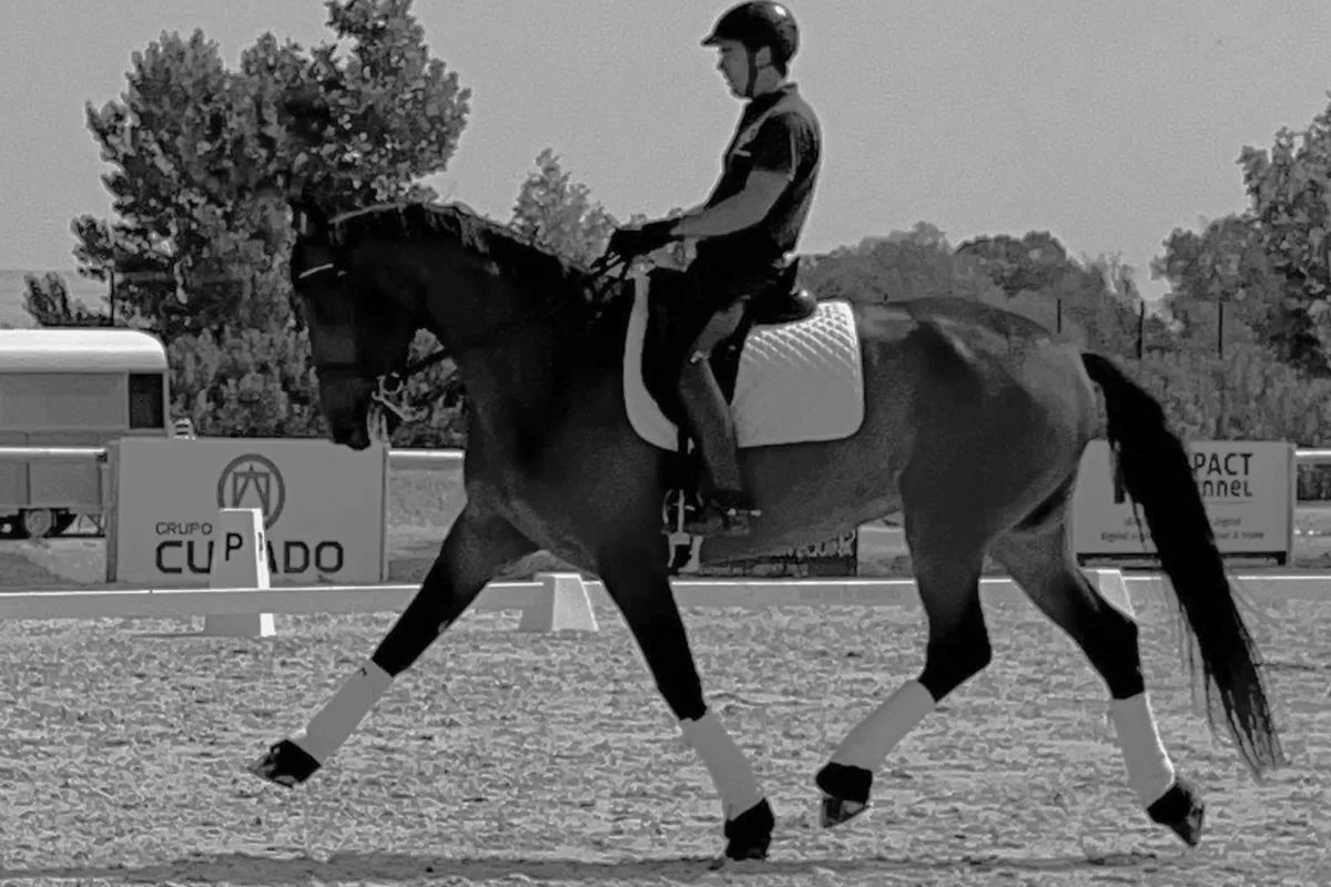 Jinete montando un caballo en las instalaciones de GR Quality Dressage