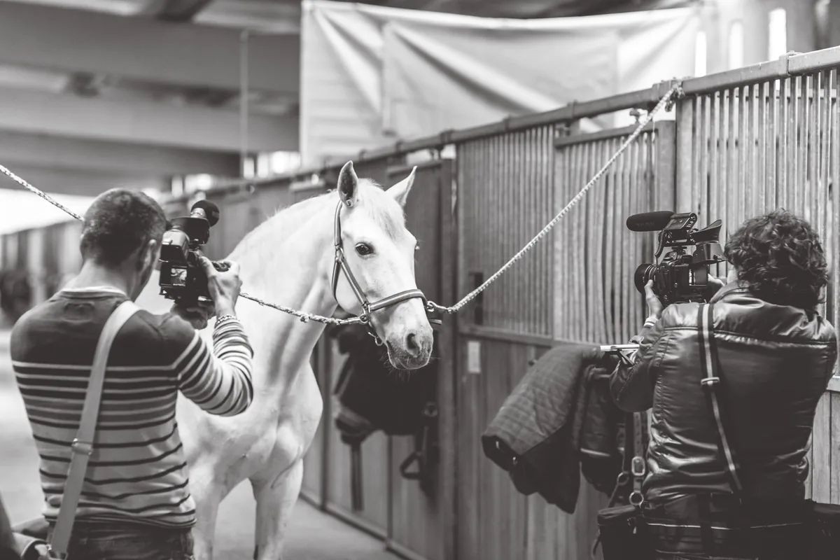 Clases de doma clásica en GR Quality Dressage