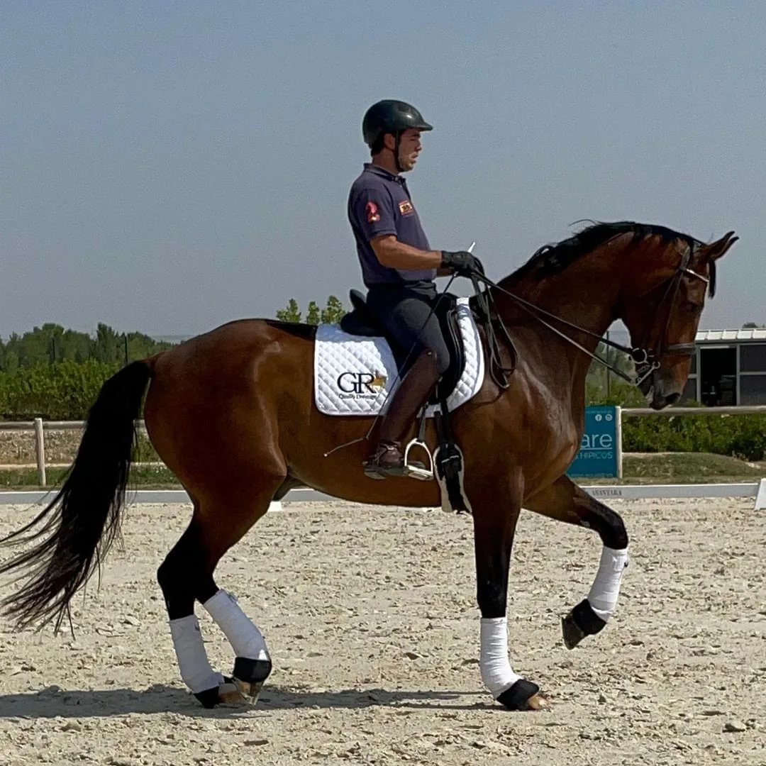 Dirección técnica en GR Quality Dressage