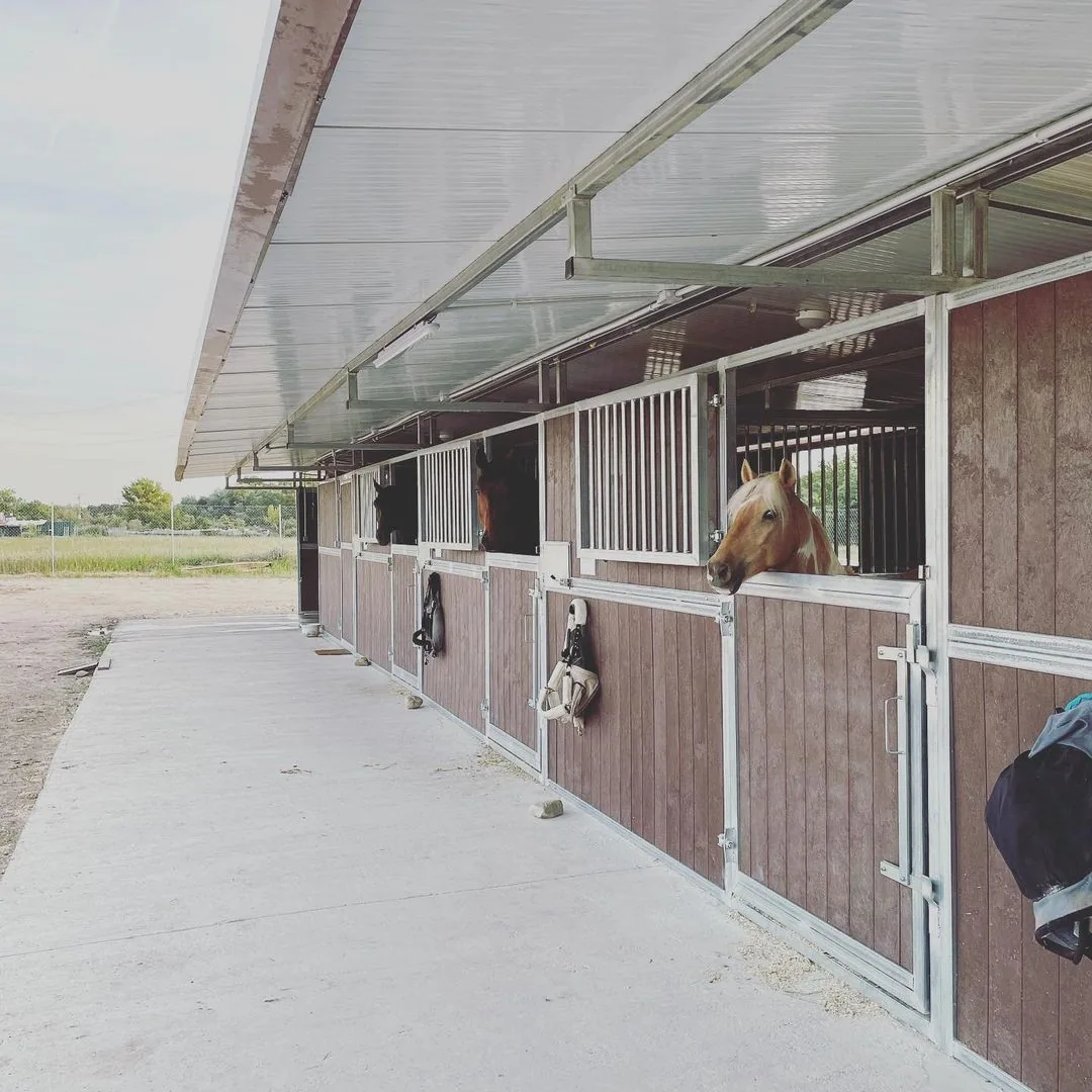 Pupilaje en GR Quality Dressage